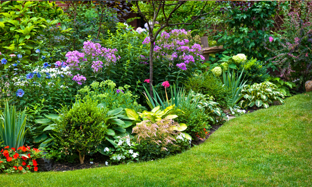 Gardening and Plants