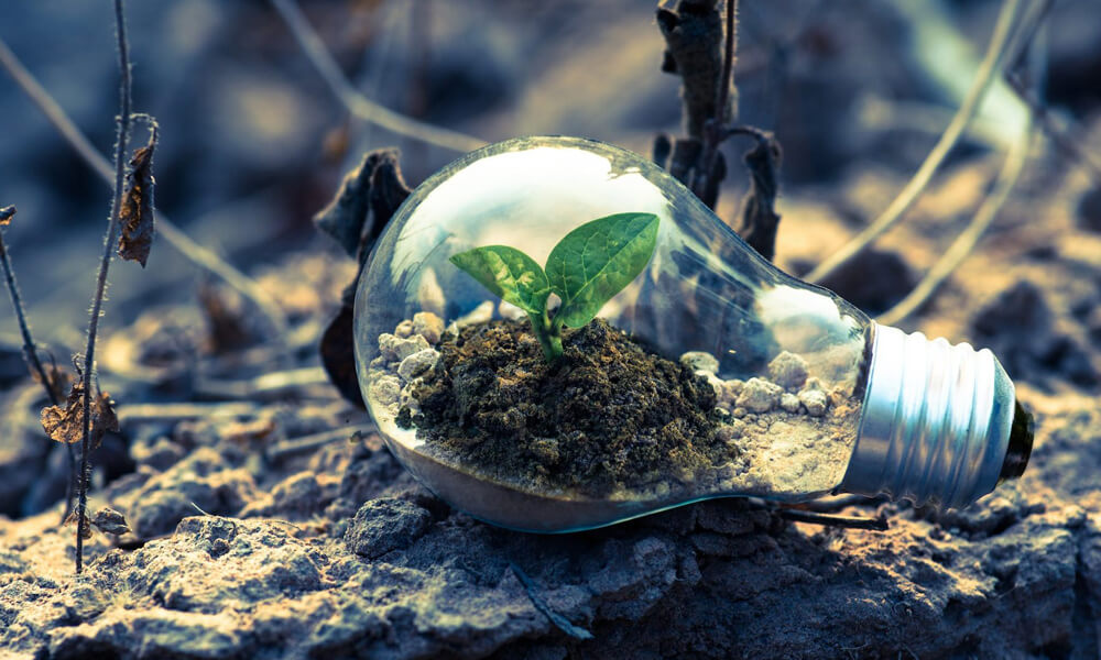 Environment